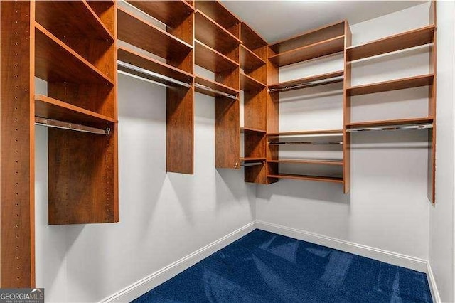 walk in closet featuring dark colored carpet