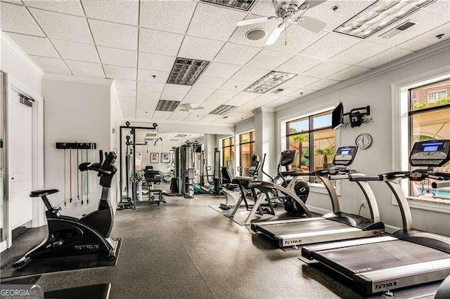 workout area with crown molding, visible vents, ceiling fan, a drop ceiling, and baseboards