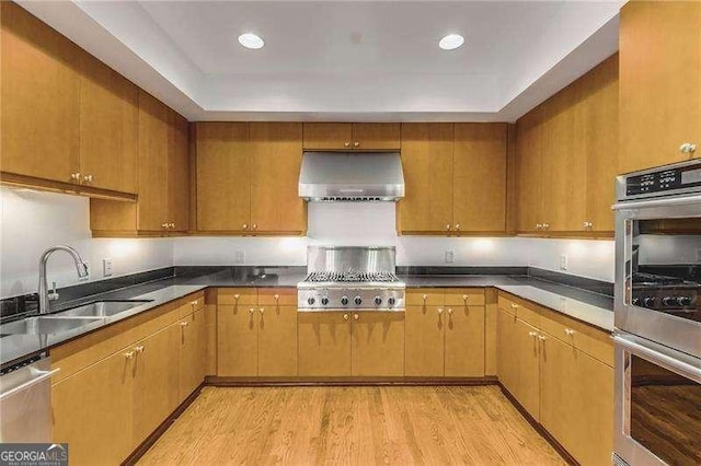 kitchen featuring light wood-style floors, stainless steel appliances, under cabinet range hood, a sink, and recessed lighting