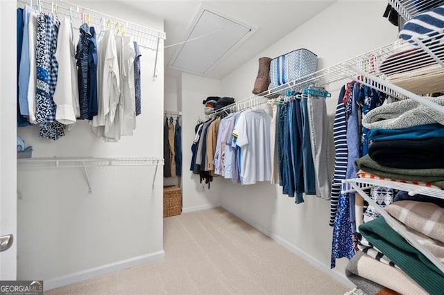 walk in closet with carpet floors and attic access