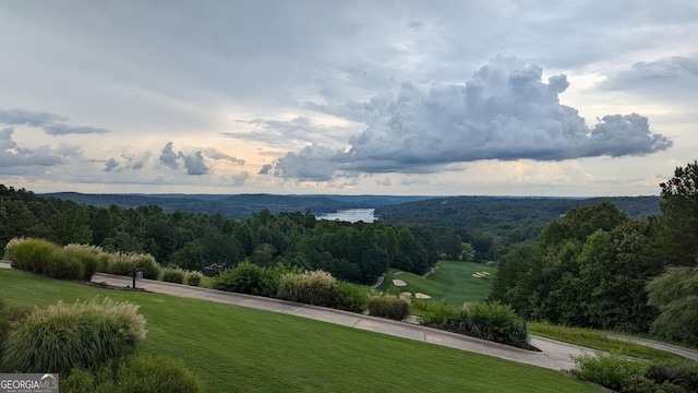 view of home's community featuring a wooded view and a yard