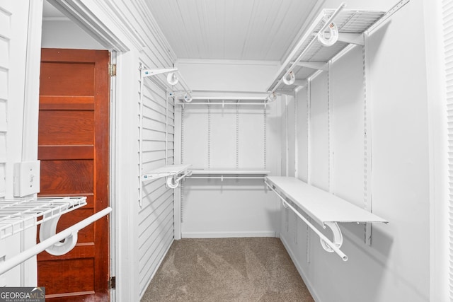 walk in closet with carpet floors