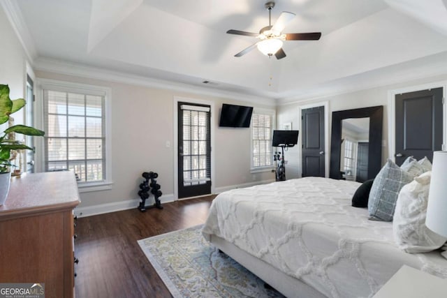 bedroom with multiple windows, a raised ceiling, and dark wood-style flooring