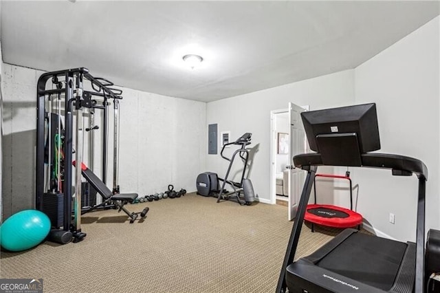 exercise area featuring electric panel and carpet flooring