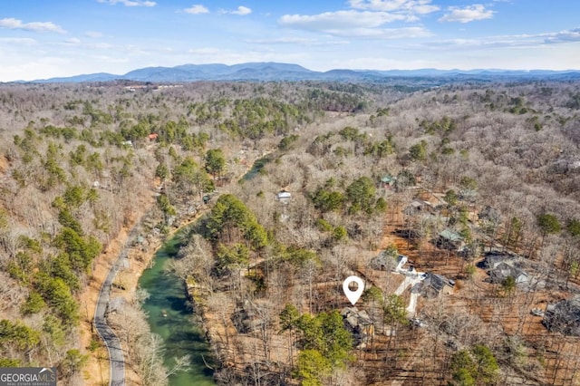 drone / aerial view featuring a mountain view and a view of trees