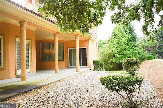 back of property with a patio area and stucco siding