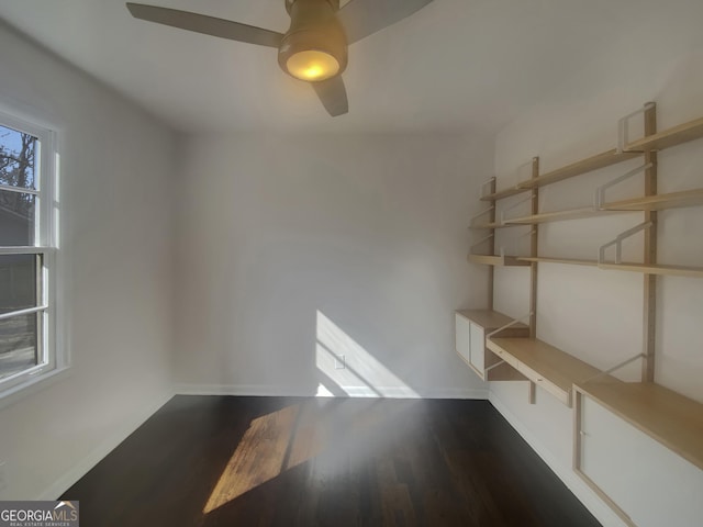 storage area featuring ceiling fan