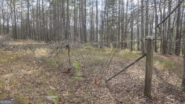 view of local wilderness