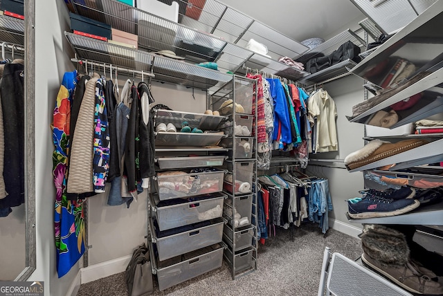 walk in closet with carpet flooring