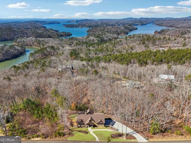 drone / aerial view with a water view and a view of trees