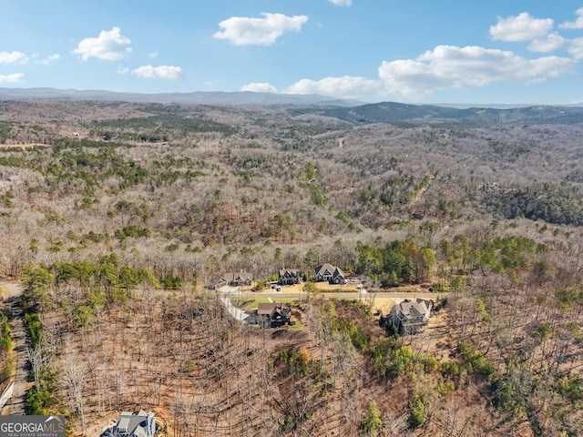 drone / aerial view featuring a mountain view and a view of trees