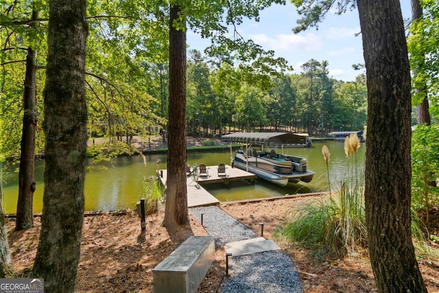 dock area with a water view