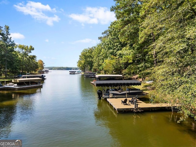 dock area with a water view