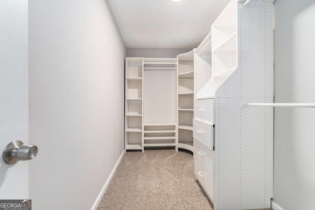 spacious closet with carpet flooring