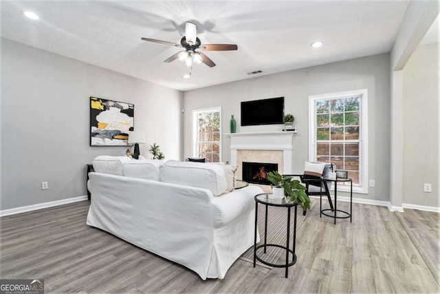 living room featuring a lit fireplace, plenty of natural light, wood finished floors, and baseboards