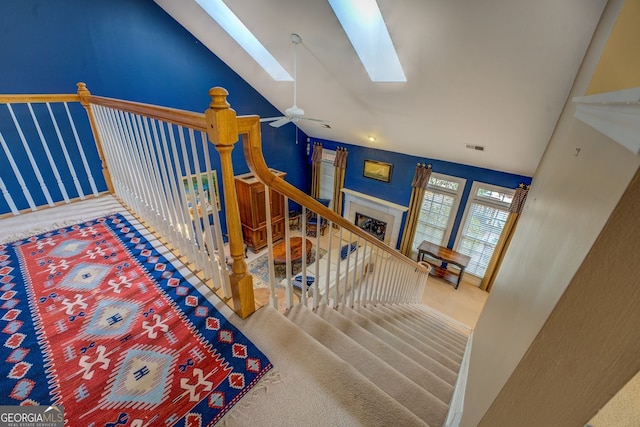 staircase featuring lofted ceiling with skylight, carpet, visible vents, and ceiling fan