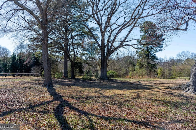 view of yard featuring a wooded view