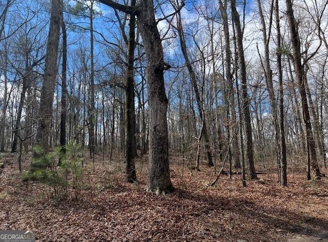 3871 Martin Dr, Ellenwood, GA 30294