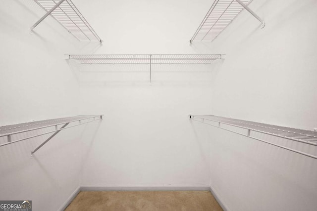 walk in closet with light carpet