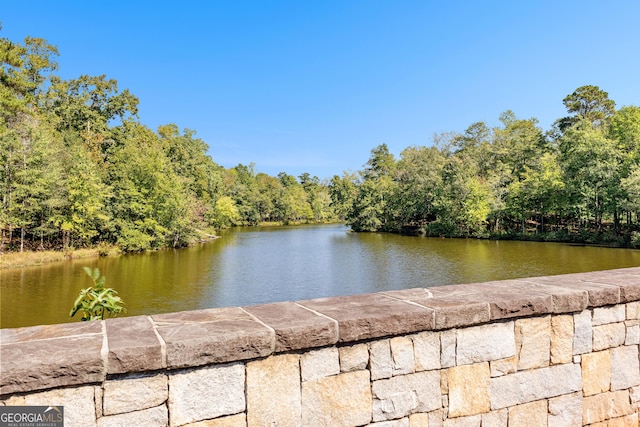 water view featuring a view of trees