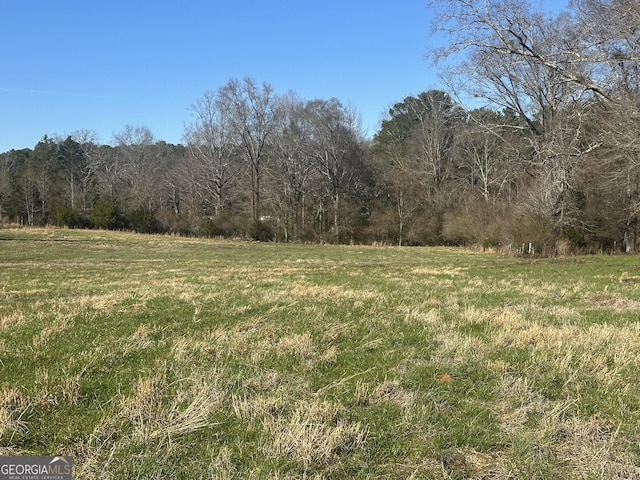 view of yard featuring a forest view