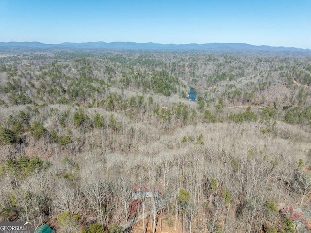 drone / aerial view featuring a mountain view and a view of trees