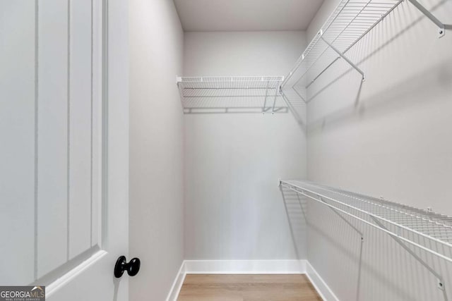 spacious closet featuring light wood-style floors