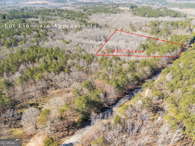 bird's eye view with a forest view