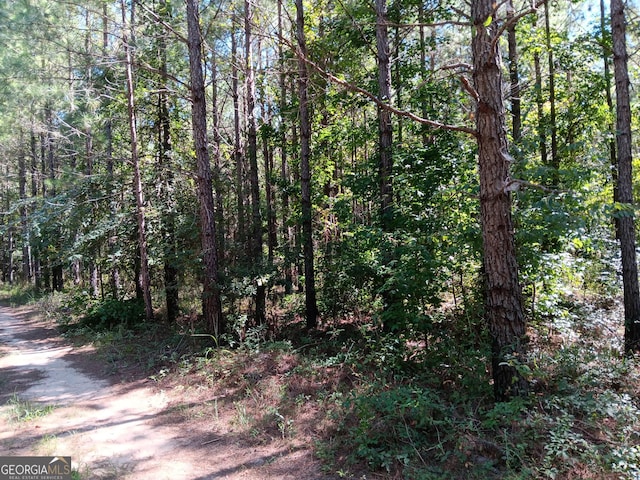 1083 Talbotton Hwy, Butler GA, 31006 land for sale