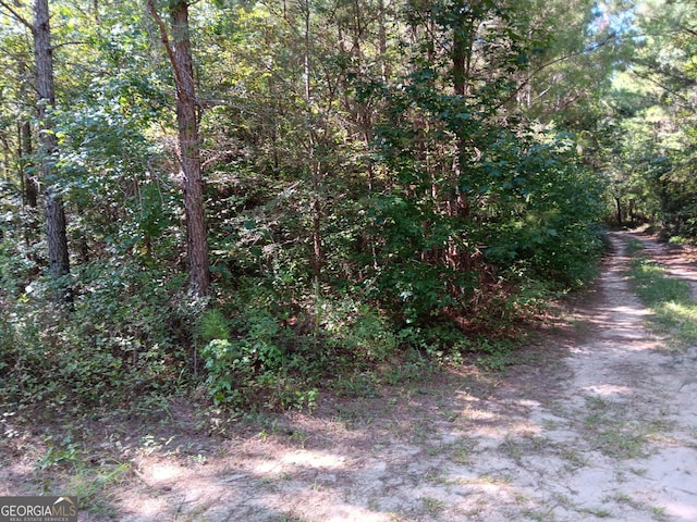 Listing photo 3 for 1083 Talbotton Hwy, Butler GA 31006