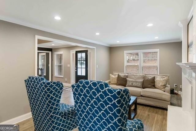 living room featuring ornamental molding, baseboards, light wood finished floors, and a premium fireplace