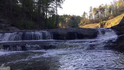 view of local wilderness