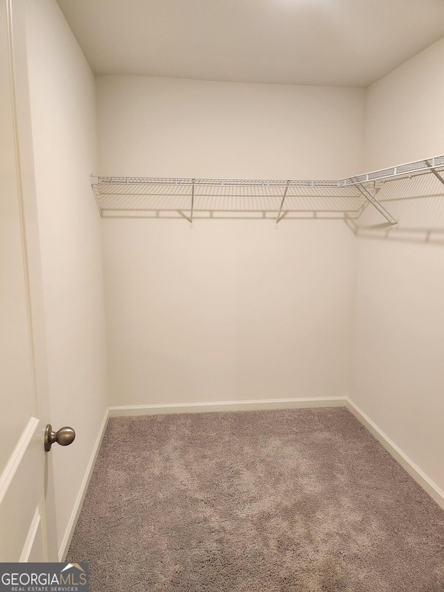 spacious closet with carpet flooring