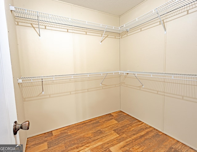 walk in closet featuring wood finished floors