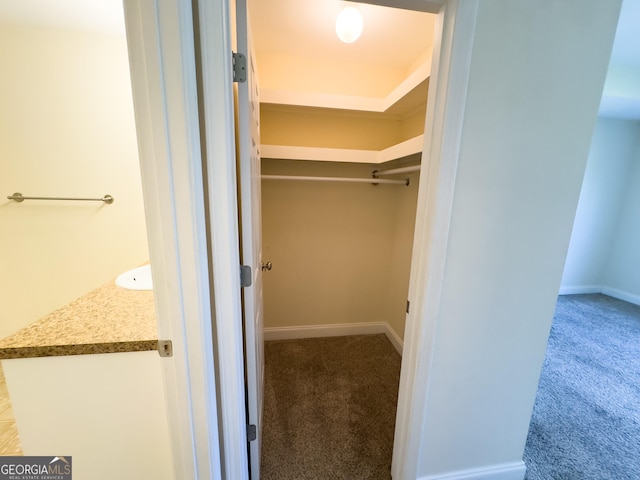 walk in closet featuring carpet