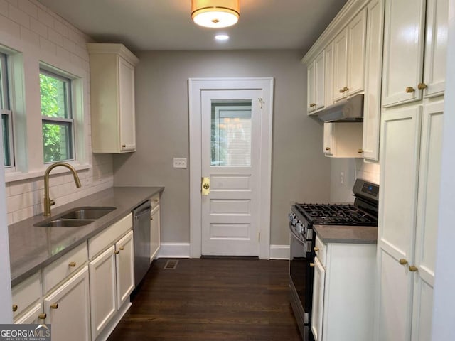 kitchen featuring under cabinet range hood, stainless steel appliances, a sink, tasteful backsplash, and dark wood finished floors