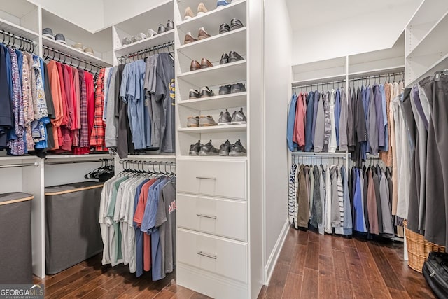 walk in closet featuring wood finished floors