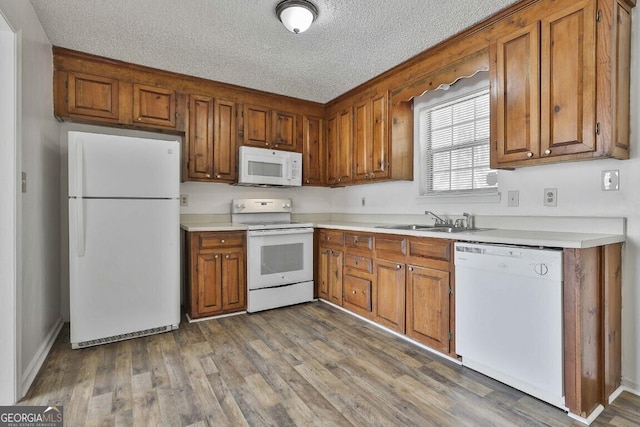 kitchen featuring brown cabinetry, white appliances, a sink, and wood finished floors