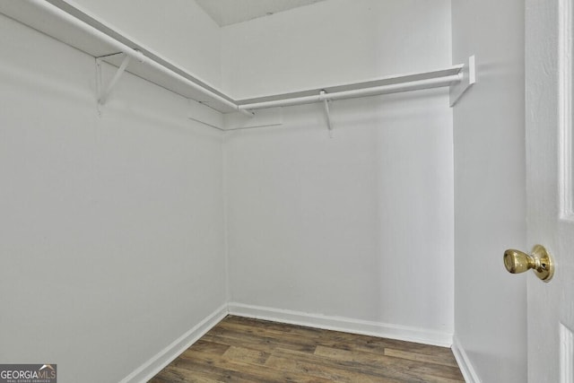 spacious closet with dark wood-style floors