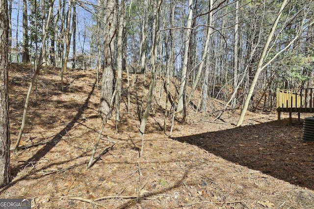 view of local wilderness