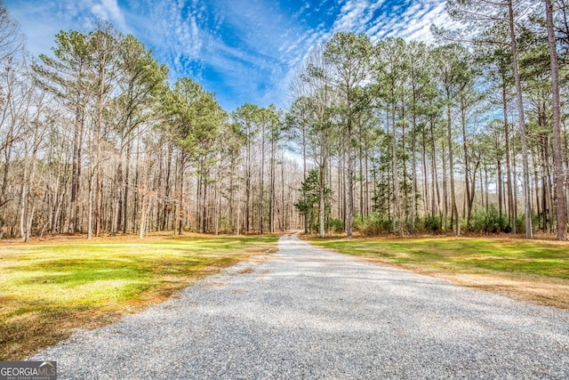 view of road with a forest view