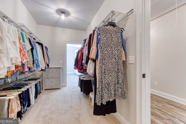 walk in closet featuring attic access and light colored carpet