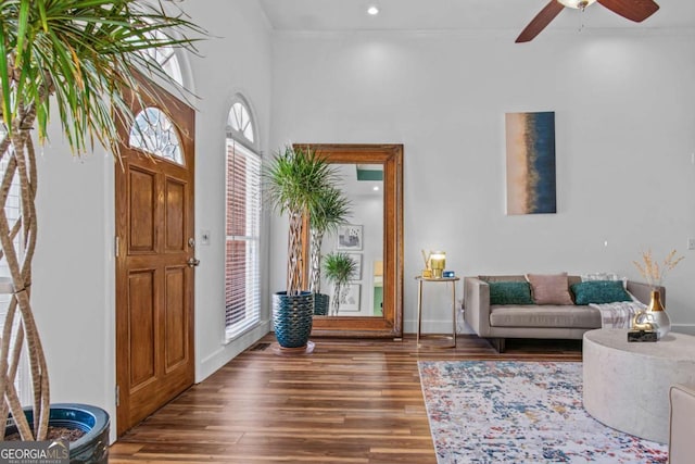 foyer entrance with a ceiling fan, recessed lighting, a healthy amount of sunlight, and wood finished floors