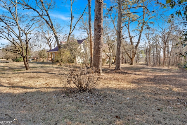 436 Tarpley Ave, Bowdon, GA 30108 - view of yard