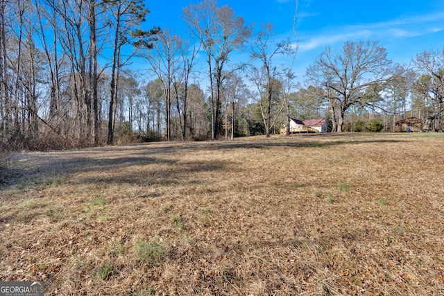 436 Tarpley Ave, Bowdon, GA 30108 - view of grassy yard