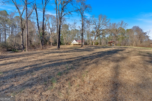 436 Tarpley Ave, Bowdon, GA 30108 - view of yard
