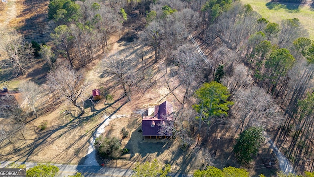 436 Tarpley Ave, Bowdon, GA 30108 - overview of rural landscape