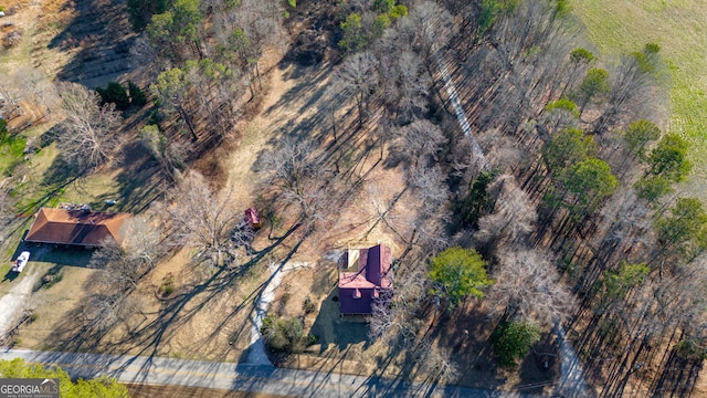 436 Tarpley Ave, Bowdon, GA 30108 - aerial view of property's location with rural landscape