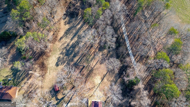 436 Tarpley Ave, Bowdon, GA 30108 - aerial view of property and surrounding area