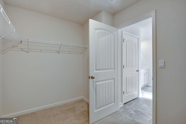 spacious closet featuring carpet floors